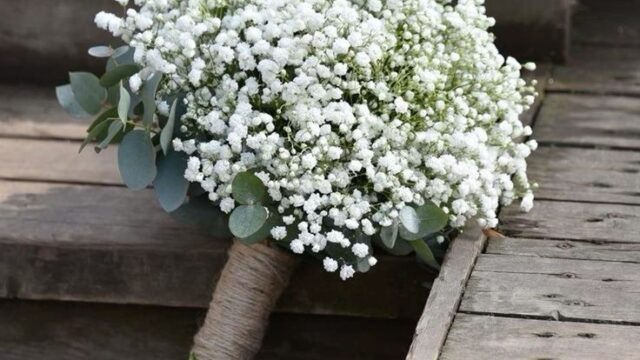 Magnifico Dekoracije – Bidermajer