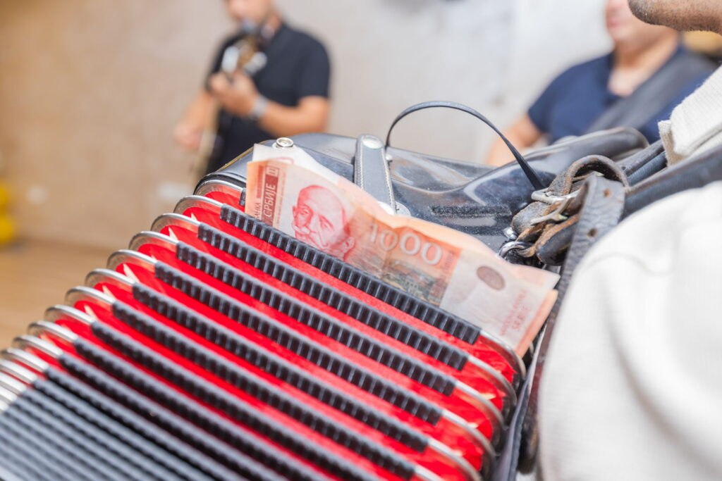 Harminika-na-18-rodjendanu-fotografisanje-proslava