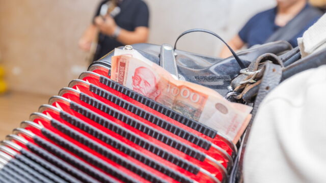 Harminika-na-18-rodjendanu-fotografisanje-proslava