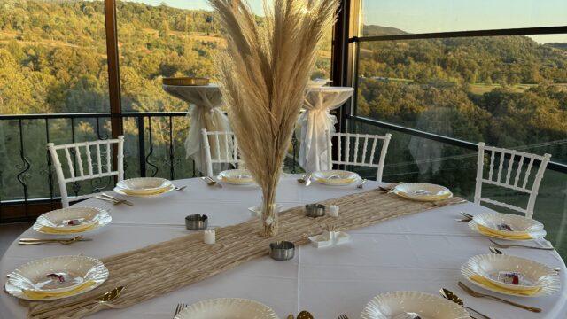 Vila Rudnicka Idila - Prostor za Proslavu, Slavlje