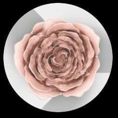 Pozivnice za Venčanja, Rođendane i Krštenja – Mlada Da Budem - Novi Sad