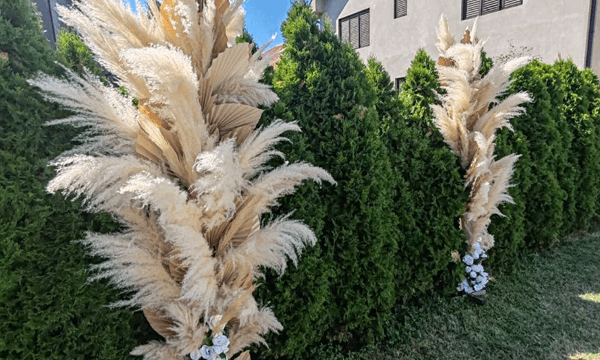 Boho-dekoracija-Sabac-nadine-pinjate.png1_.png2_