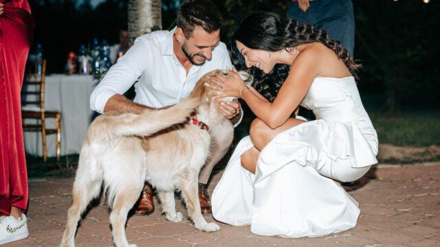 Lukovicfoto-Marijana-i-Dejan-776_resized