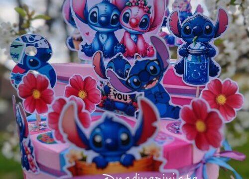 Stitch-1-nadine-pinjate-1