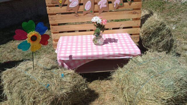 inbound2625641866994104651