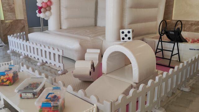 inbound9208022138160237320