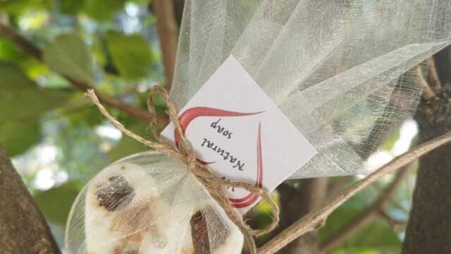 48d697f1-d416-460c-a01e-fcebad4052c1-1