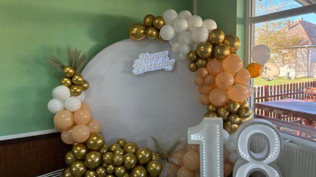 Dekoracija Rođendana Novi Sad. Cena već od 100 evra