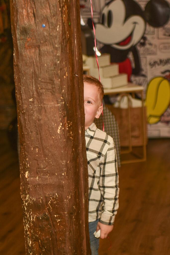 rofesionalno-fotografisanje-proslava-i-rodjendana-beograd-atmosfera