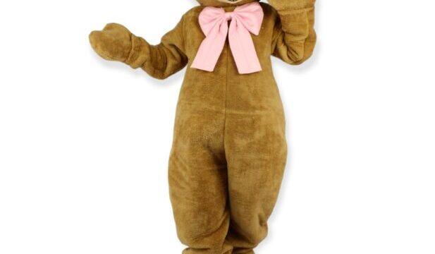 Veliki plišani meda iznenađenje za rođendan i proslave Novi Sad Maskote 021