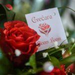 Dekoracija za svadbu Vlasotince Bloom Room cvetni luk i dekoracija sale