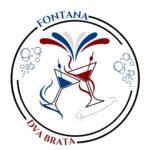 Specijalni efekti za prvi ples i proslave Beograd - Fontana Dva Brata