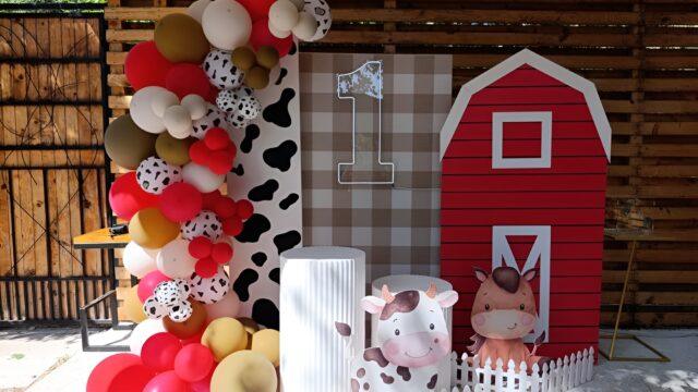 baloni i ukrasi za rođendan Niš po narudžbini