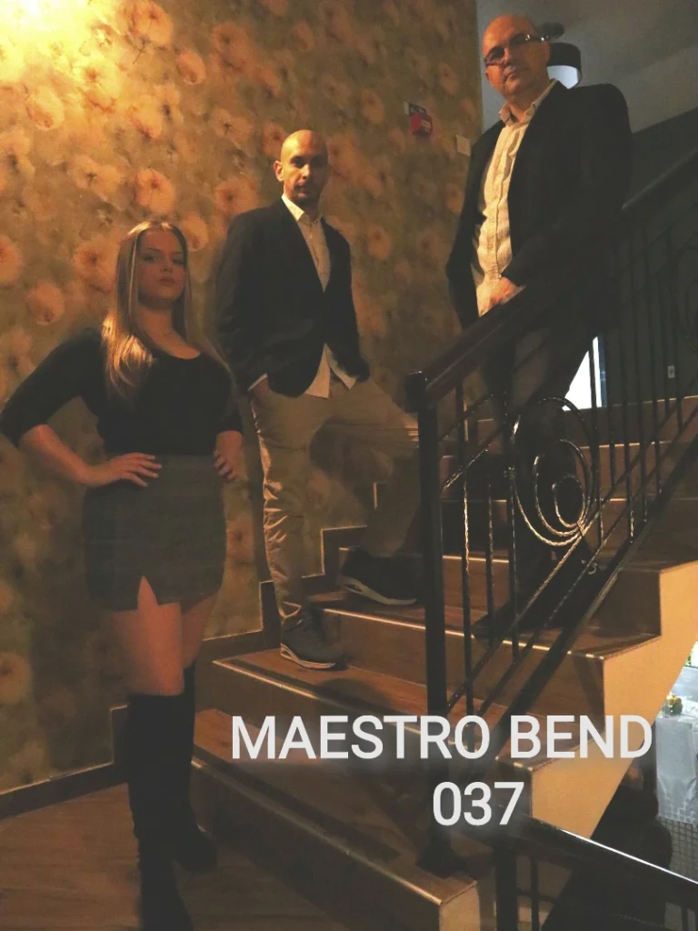muzika uživo svadba kruševac scena