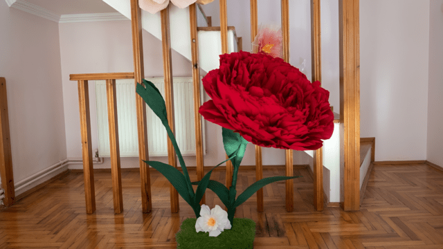 veliki cvetovi od krep papira nis dekoracija sale